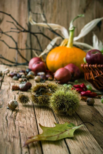 Fundo Fruta Outono Autumn Thanksgiving Seasonal Fruit Natureza Fundo — Fotografia de Stock