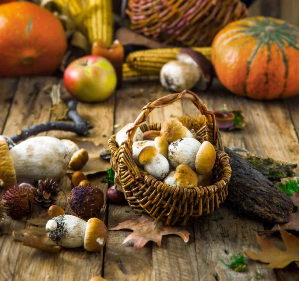 Fungo Sfondo Legno Funghi Cep Autunno Legno Frutta Bosco Autunnale — Foto Stock