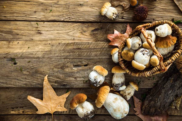 Mushroom Wooden Background Autumn Cep Mushrooms Wood Autumn Forest Fruit — Stock Photo, Image