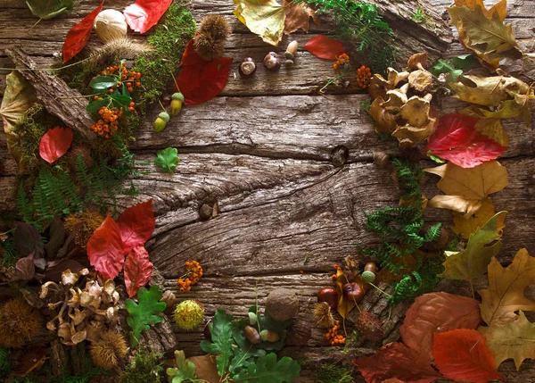 感謝祭秋のコンセプト Copyspace と秋の森のフルーツ 感謝祭秋背景 — ストック写真