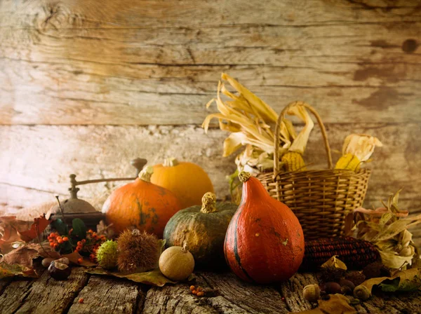 Thanksgiving Diner Herfst Fruit Met Copyspace Thanksgiving Herfst Achtergrond — Stockfoto