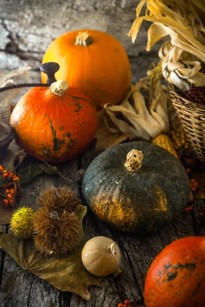 Thanksgiving Day Middag Höst Frukt Med Blad Thanksgiving Hösten Bakgrund — Stockfoto