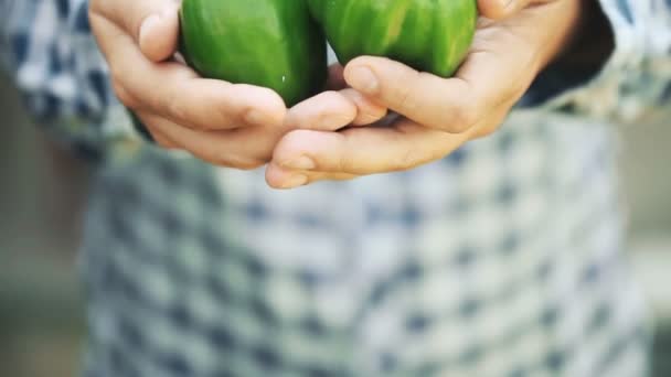 Pimenta Orgânica Fruta Verde Homem Mãos — Vídeo de Stock