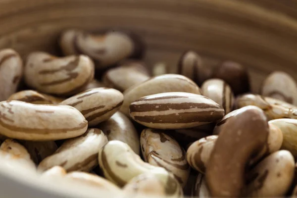 健康的素食食品 Bean 的集合 新鲜收获的豆类品种 桌上的豆子 — 图库照片