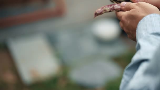 Farmers Hands Present Fresh Organic Kidney Bean Pods — Stock Video