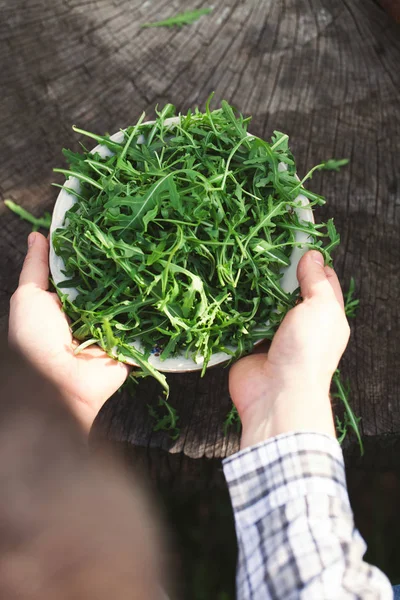 Verduras Ecológicas Comida Saludable Ensalada Cohetes Manos Agricultores — Foto de Stock