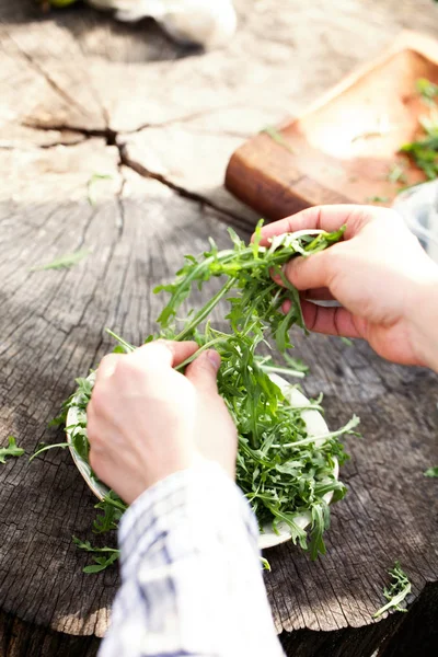 Organik Sebzeler Sağlıklı Yiyecekler Roket Salatası Çiftçilerin Elinde — Stok fotoğraf