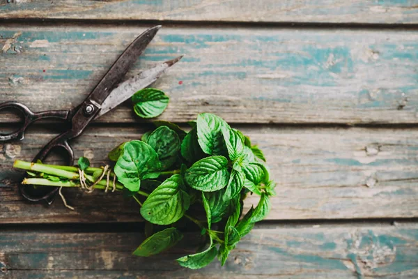 Fresh Herbs Melissa Rosemary Mint Rustic Setting Spices Wood — Stock Photo, Image