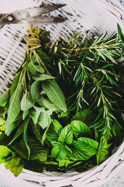 Des Herbes Fraîches Melissa Romarin Menthe Dans Cadre Rustique — Photo