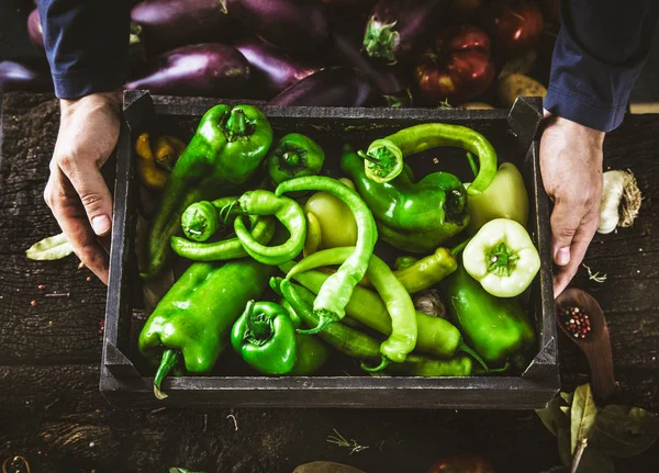 Agricultor com pimentas verdes — Fotografia de Stock