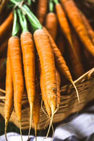 Fresh carrots in basket — Stock Photo, Image