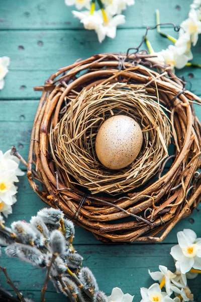 Easter concept on wood — Stock Photo, Image