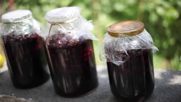 Compote Organic Cherries Glass Jar Home — Stock Video