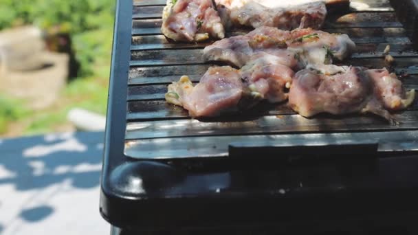 有机鸡在自制的烧烤烧烤在高清 — 图库视频影像