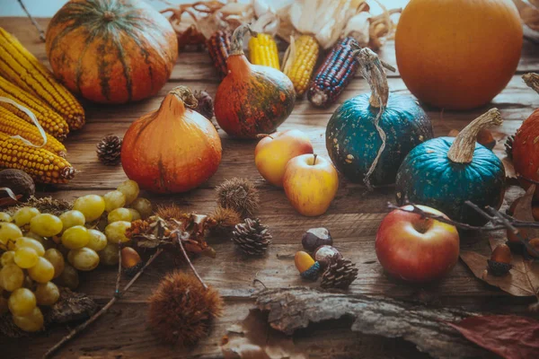 Setarea fructelor de toamnă — Fotografie, imagine de stoc