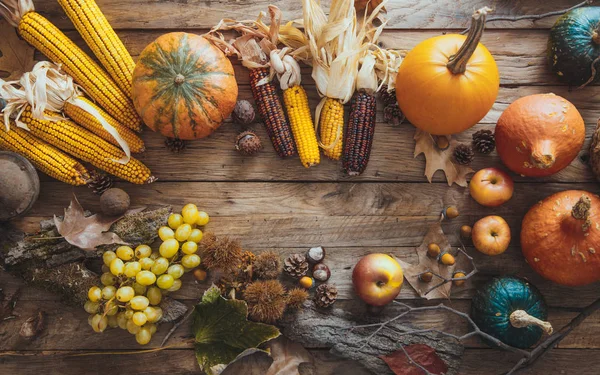 Setarea fructelor de toamnă — Fotografie, imagine de stoc