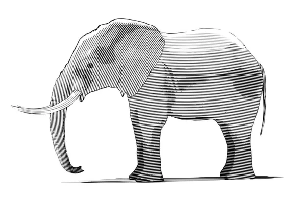 象の彫刻風のイラスト — ストックベクタ