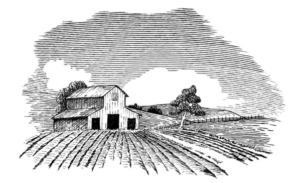 Ilustracja Stylu Pióra Atramentu Wiejskiej Scenie Gospodarstwa — Wektor stockowy