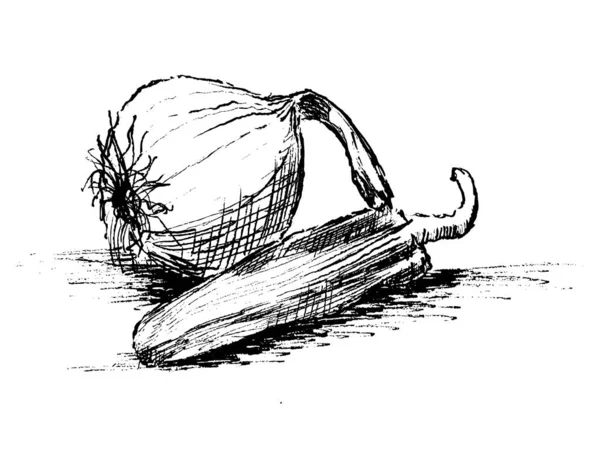 Grunge Styl Ilustrace Cibule Papriky — Stockový vektor