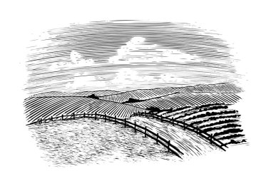 Arka planda bitkileri alanları ile bir ülke yol Woodcut illüstrasyon.