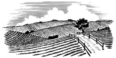 Çiftlik alanlarından akan bir yolun Woodcut illüstrasyonu.