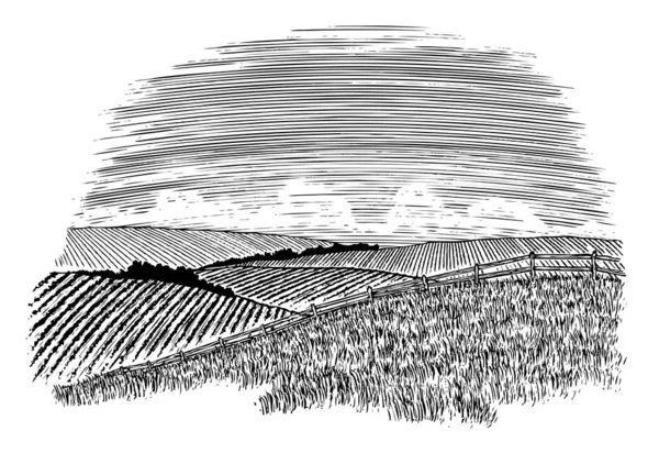 Arka planda bitkileri alanları ile kırsal bir kırsal sahneWoodcut illüstrasyon.