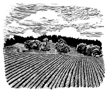Bir ahır sahnesiwoodcut tarzı illüstrasyon.