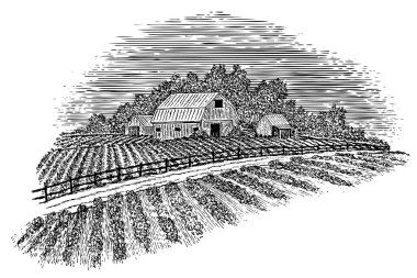 Bir ahır ve tarlalardan geçen bir kırsal yolun Woodcut tarzı illüstrasyonu.