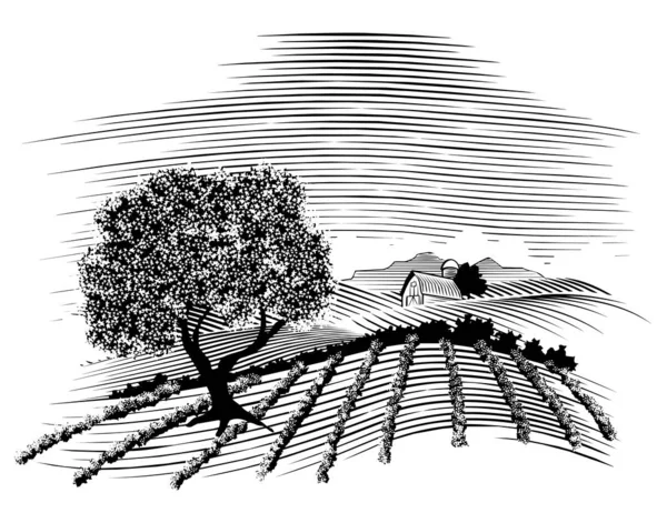 Woodstřih Ilustrace Scény Farmy Stodoly Pozadí — Stockový vektor