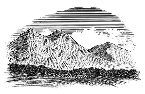 Ilustración Madera Una Escena Montaña — Archivo Imágenes Vectoriales