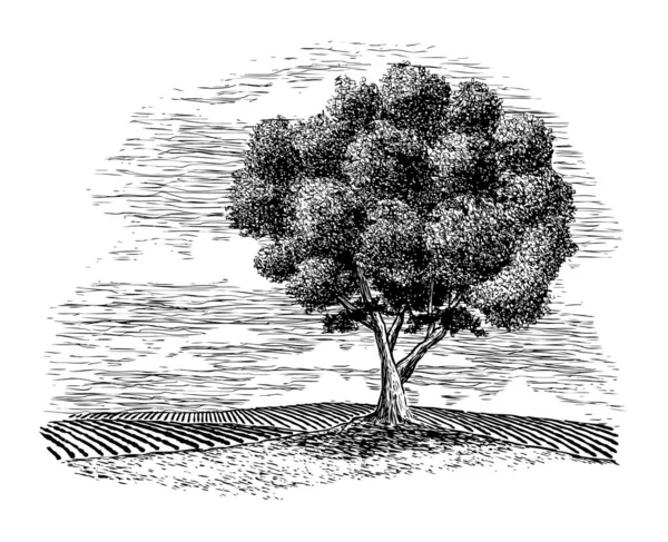 Ilustración Madera Campo Rural Con Árbol Primer Plano — Archivo Imágenes Vectoriales