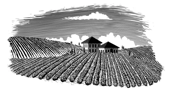 Bir bağ manzara Woodcut tarzı illüstrasyon.