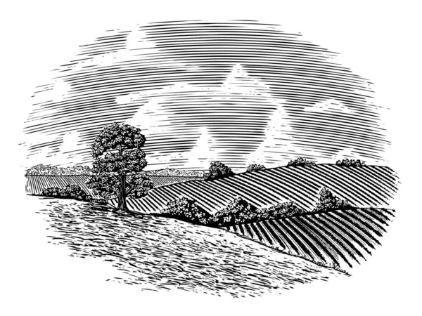 田舎のシーンの木版画図 — ストックベクタ