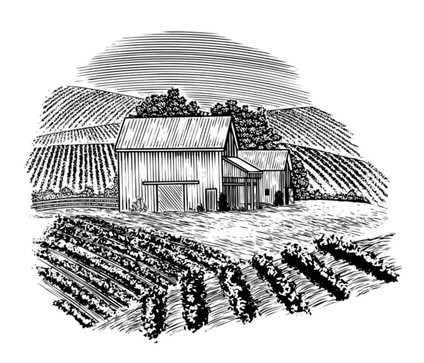 前景と背景に作物のローリング丘とヴィンテージ納屋シーンの木版画 — ストックベクタ
