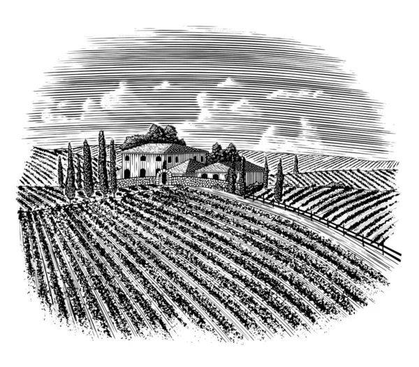 Illustration Gravée Sur Bois Vieux Vignoble Italien Avec Une Route — Image vectorielle