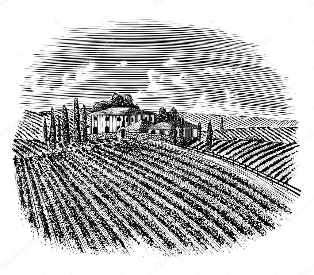 Woodcut illustration of an old Italian Vineyard with a road leading back to the house.