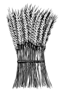 Buğday yığınının woodcut illüstrasyon.