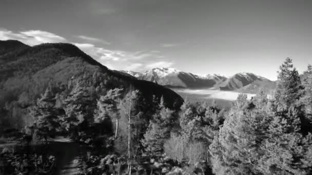 Volando Sobre Bosque Una Montaña Pirenaica Junto Mar Nubes Nevado — Vídeos de Stock