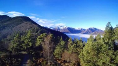 Bir odun dağındaki ormanın üzerinde, bulutdenizinin yanında uçmak. Karlı Montcalm dağı arka planda görünür.