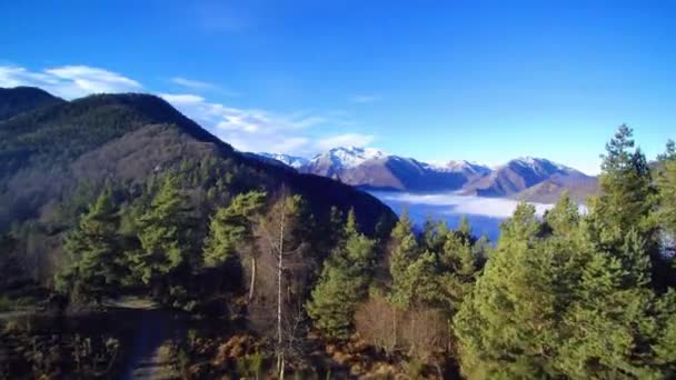 Volando Sobre Bosque Una Montaña Pirenaica Junto Mar Nubes Nevado — Vídeo de stock