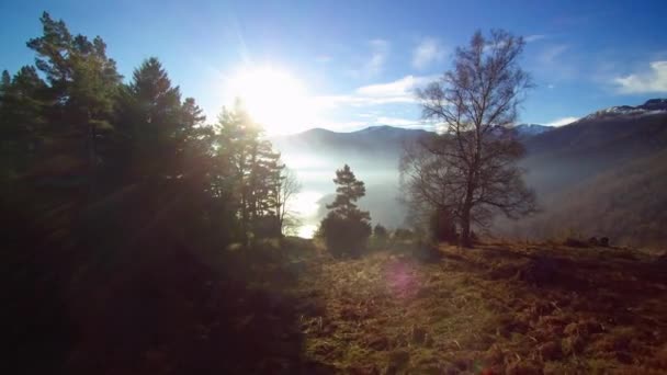 Latanie Między Drzewami Odkrywanie Małej Wioski Morze Chmur Nad Doliną — Wideo stockowe