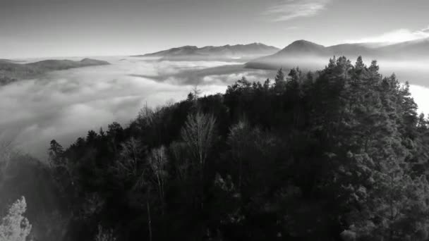 Літаючи Між Деревами Відкриваючи Невелике Село Море Хмар Над Долиною — стокове відео