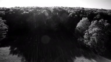 Güneşli bir Fransız kırsal, 4k Bw sırası 2 - ormanda hovering ve parlak bir güneş altında tarım alanları keşfetmek uçan. Siyah beyaz versiyon.