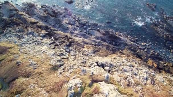 Aerial Hovering Cliff Ocean Brittany Footage Version Colorful Moorland Rocks — Stock Video