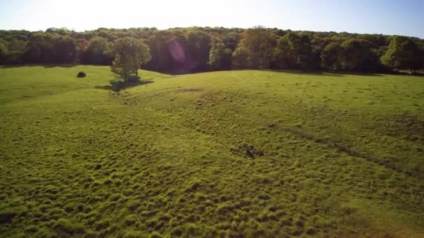 Fliegen Einer Sonnigen Französischen Landschaft Sequenz Von Über Eine Raue — Stockvideo