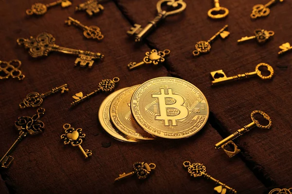 Hazine Anahtarları ile Altın Bitcoin Para Para