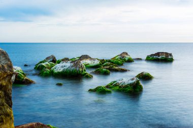 Bir yaz gününde denizde yosunla kaplı taşlar, deniz manzarası