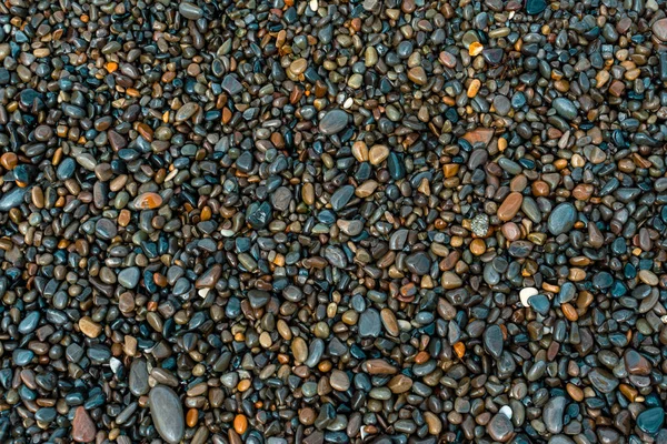Pedrinhas molhadas na praia em um dia de verão, fundo — Fotografia de Stock