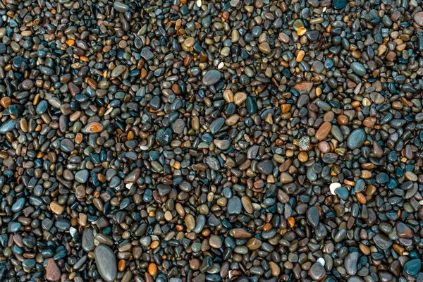 Natte kiezels op het strand op een zomerdag, achtergrond — Stockfoto