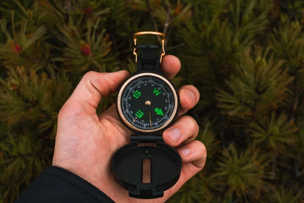 Travel, camping, orienteering and navigation concept - black magnetic compass close-up in a man s hand, pine branches background